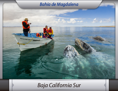 Transportes de la Ciudad de México a Baja California Sur