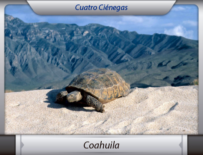 Transportes de la Ciudad de México a Coahuila