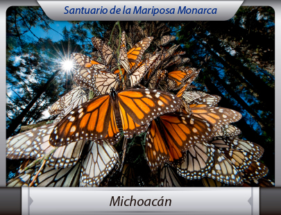 Transportes de la Ciudad de México a Michoacán