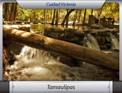 Transportes de la Ciudad de México a Tamaulipas