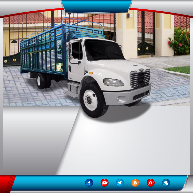  Transportes en camión rabon redilas fijas