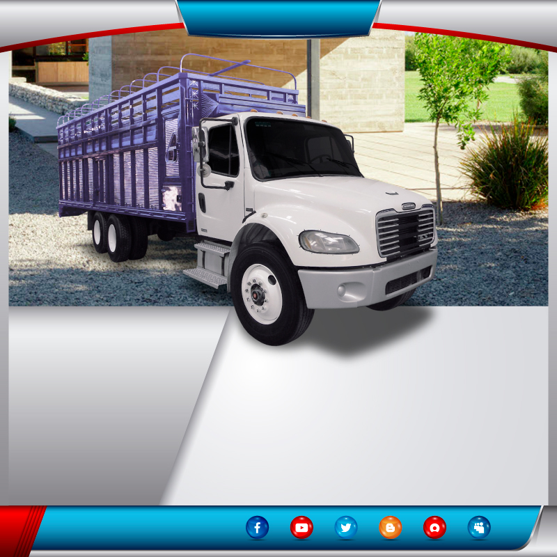  Transportes en camión torton redilas fijas